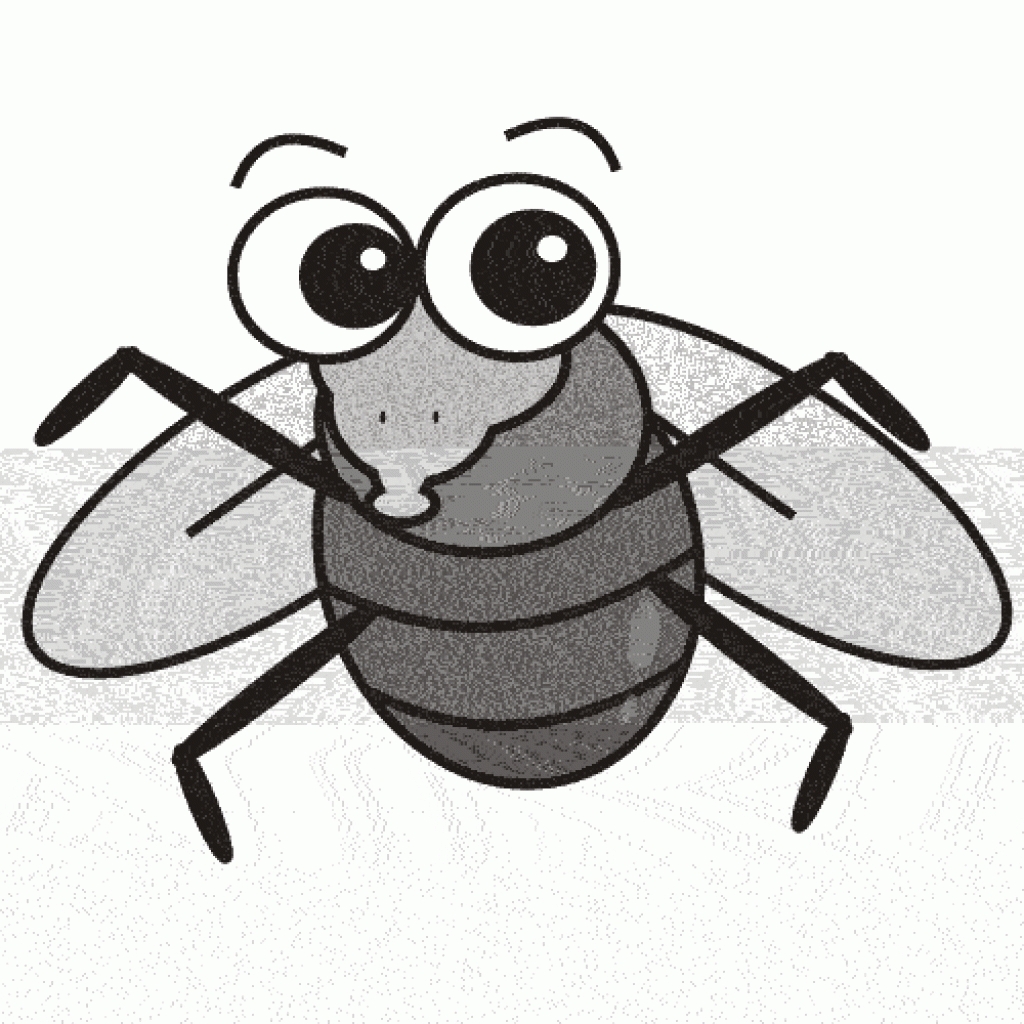 1024x1024 Fly Clipart