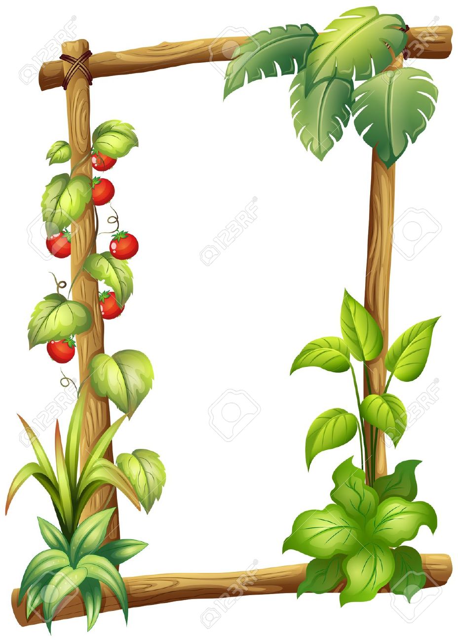 928x1300 Border Plant Clipart