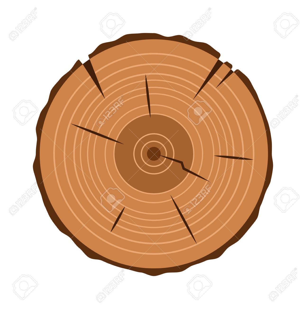 1291x1300 Timber Clipart Tree Log