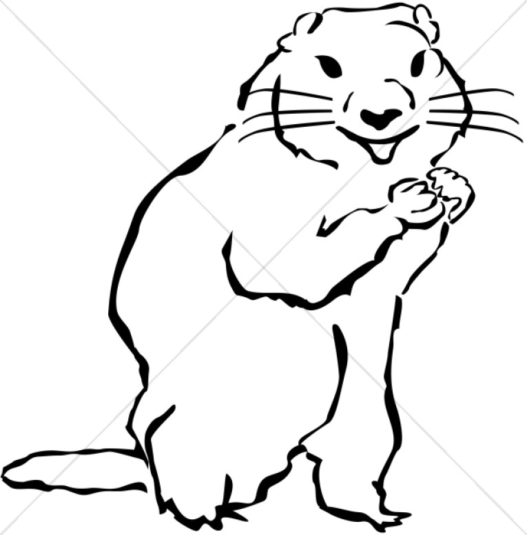 765x776 Groundhog Wildlife Clipart