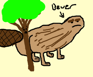 300x250 How Much Wood Would A Woodchuck Chuck