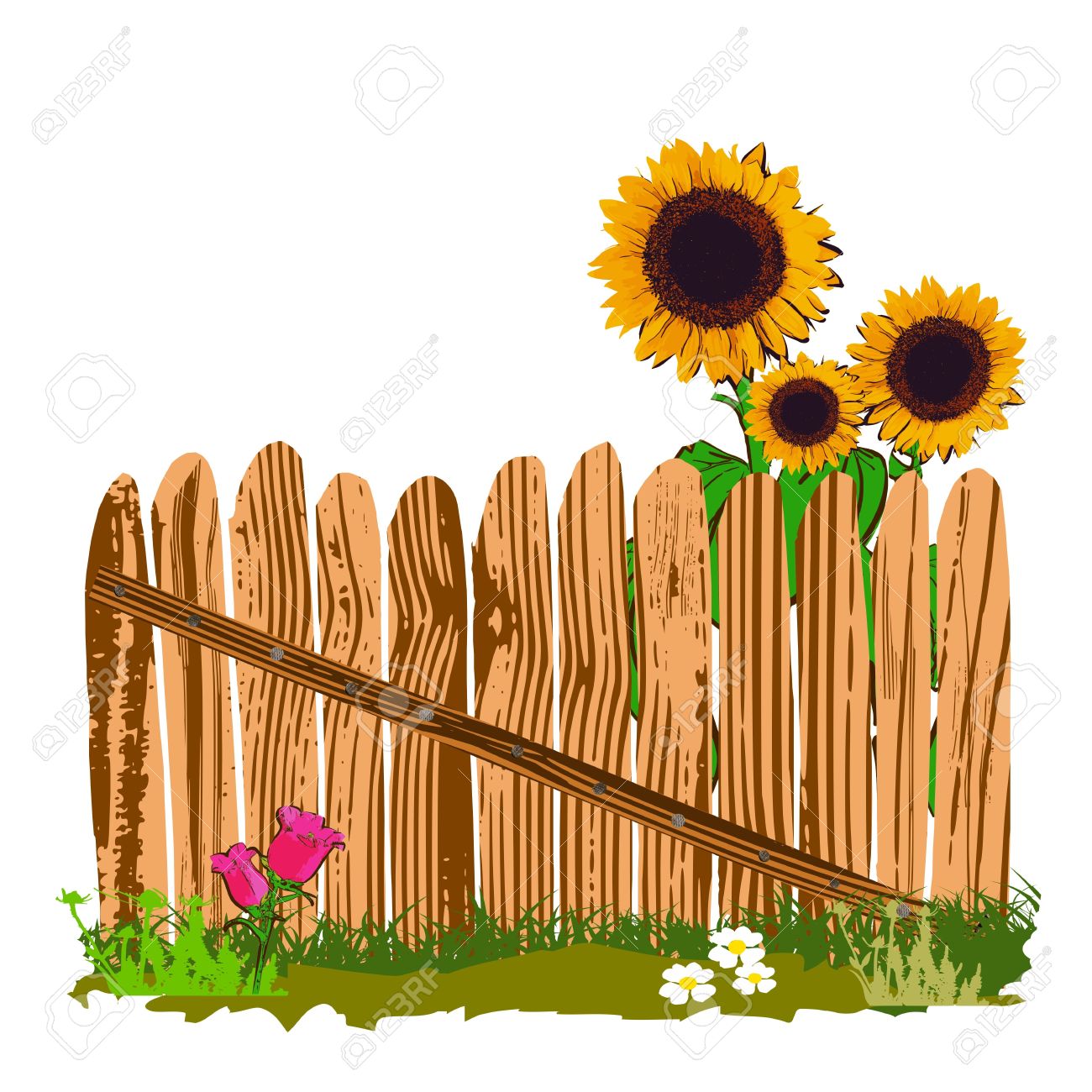 1300x1300 Wooden Fence And Sunflowers