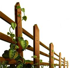 236x230 Fence With Plants Vector Art Illustration Clipart