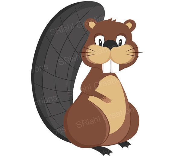 570x515 The Best Beaver Clipart Ideas Comic Font Free
