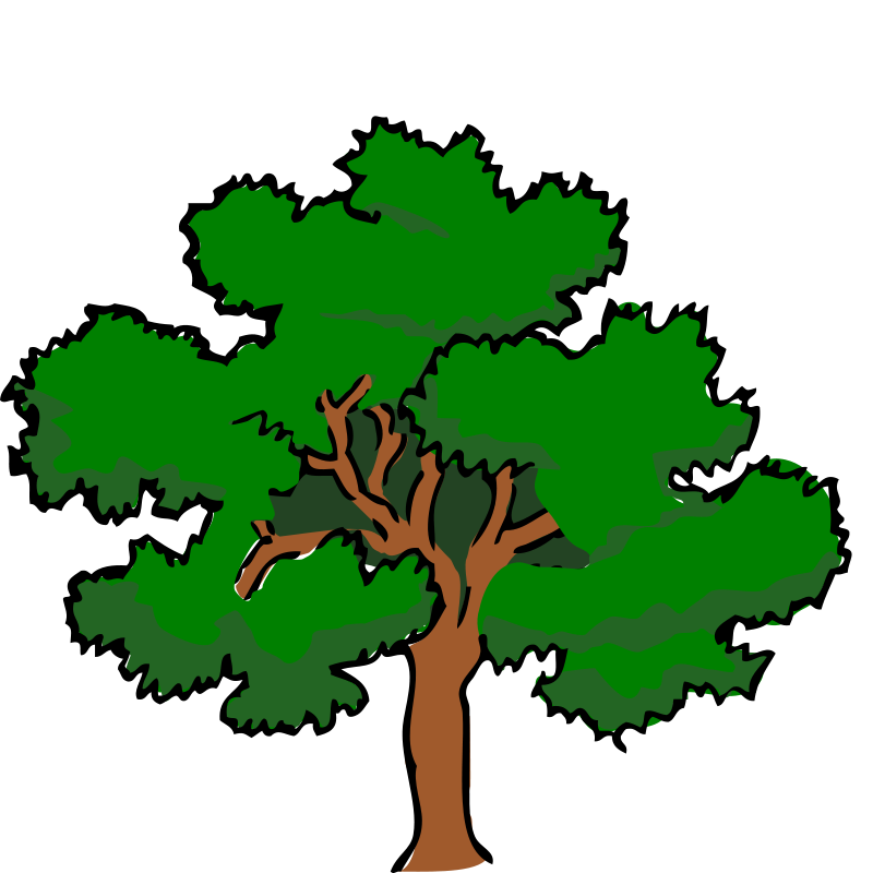 800x800 Free Clipart