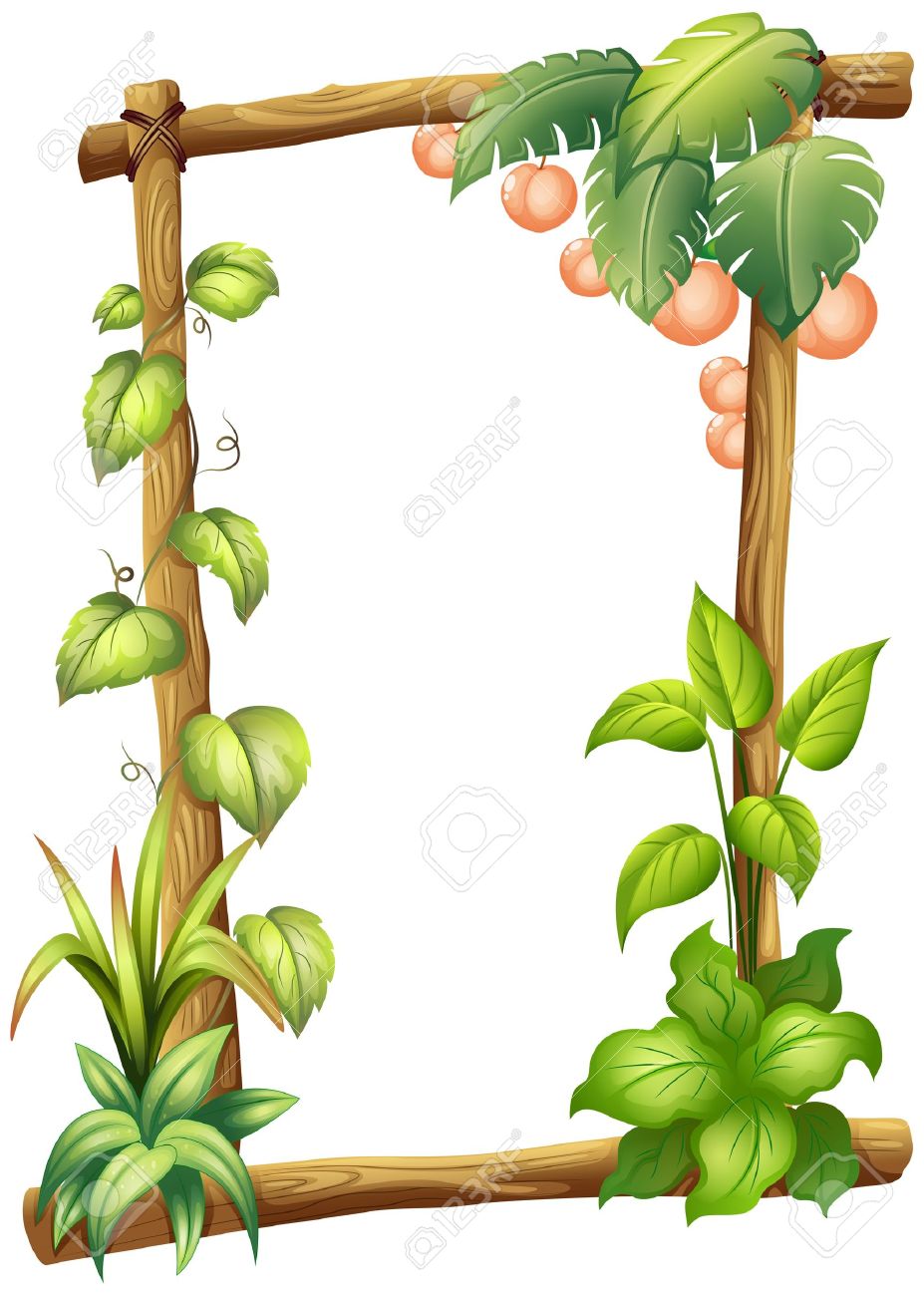 927x1300 Illustration Of A Frame Made Of Woods With Plants On A White