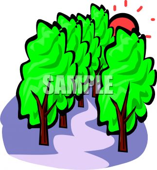 323x350 Path Through The Woods