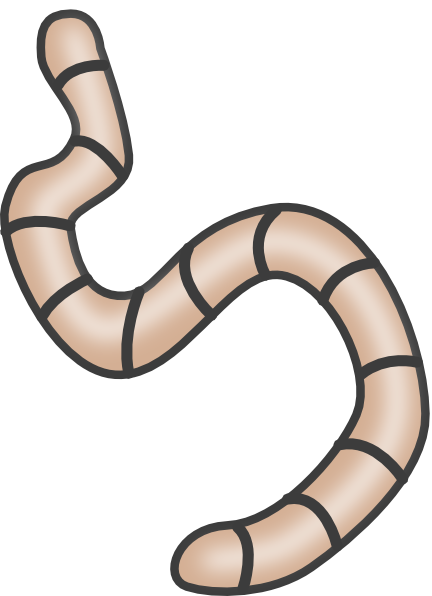 432x596 Worm Clip Art