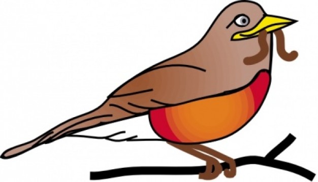 626x359 Amercan Robin Standing On The Branch With Worm Clip Art Download