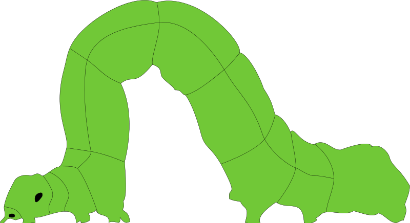 800x436 Worm Clipart Inchworm