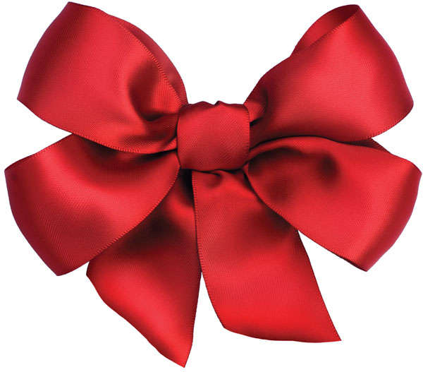 600x527 Hands On Holiday Wreath