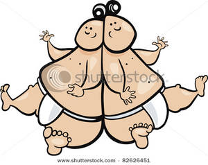 300x238 Zodiac Gemini Sumo Wrestlers