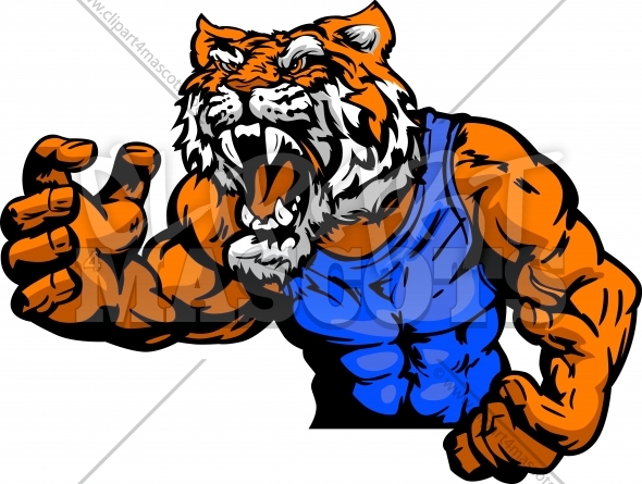 590x445 Wrestling Tiger Clipart Graphic Vector Cartoon