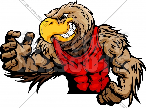 590x438 Falcon Wrestler Graphic Vector Cartoon