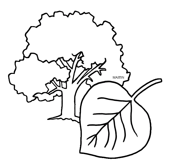 648x624 United States Clip Art By Phillip Martin, State Tree Of Wyoming