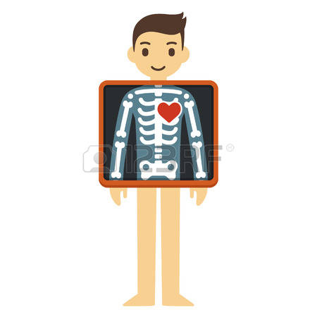 450x450 Skeleton Clipart Xray