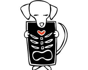 340x270 X Ray Clip Art Many Interesting Cliparts