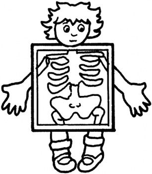 307x350 X Ray Clipart Coloring