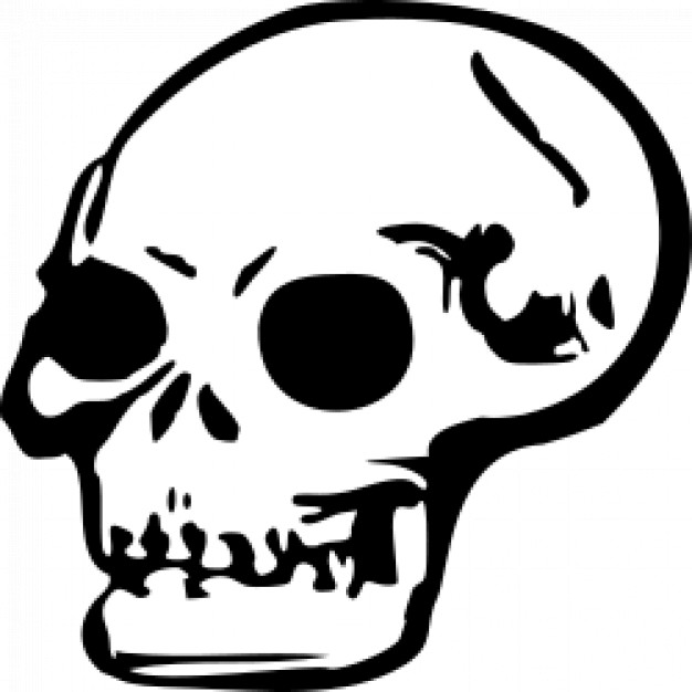 626x626 Skull X Ray Cliparts