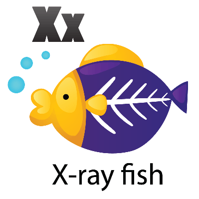 399x399 X Ray Fish Clipart Many Interesting Cliparts