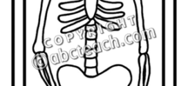 272x125 X Ray 20clipart Clipart Panda