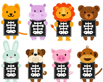 340x270 X Ray Clipart Cute