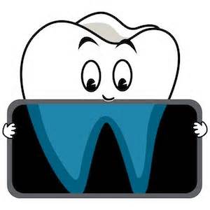 300x300 X Ray Clipart Dental