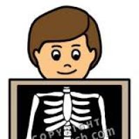 200x200 Xray Clipart