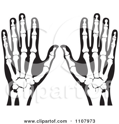 450x470 Animated X Ray Clipart