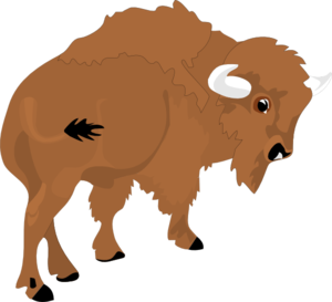300x273 Bison Clip Art