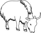170x137 Yak Clipart Clipart Panda