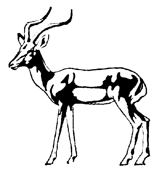 517x559 Yak Clipart