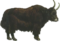 199x138 Png Yak Transparent Yak.png Images. Pluspng