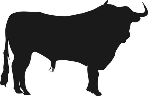 616x400 Beef Cliparts