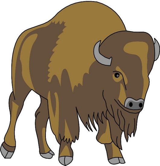 530x550 Animal Buffalo Clipart
