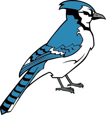 370x400 Top 91 Blue Jay Clip Art
