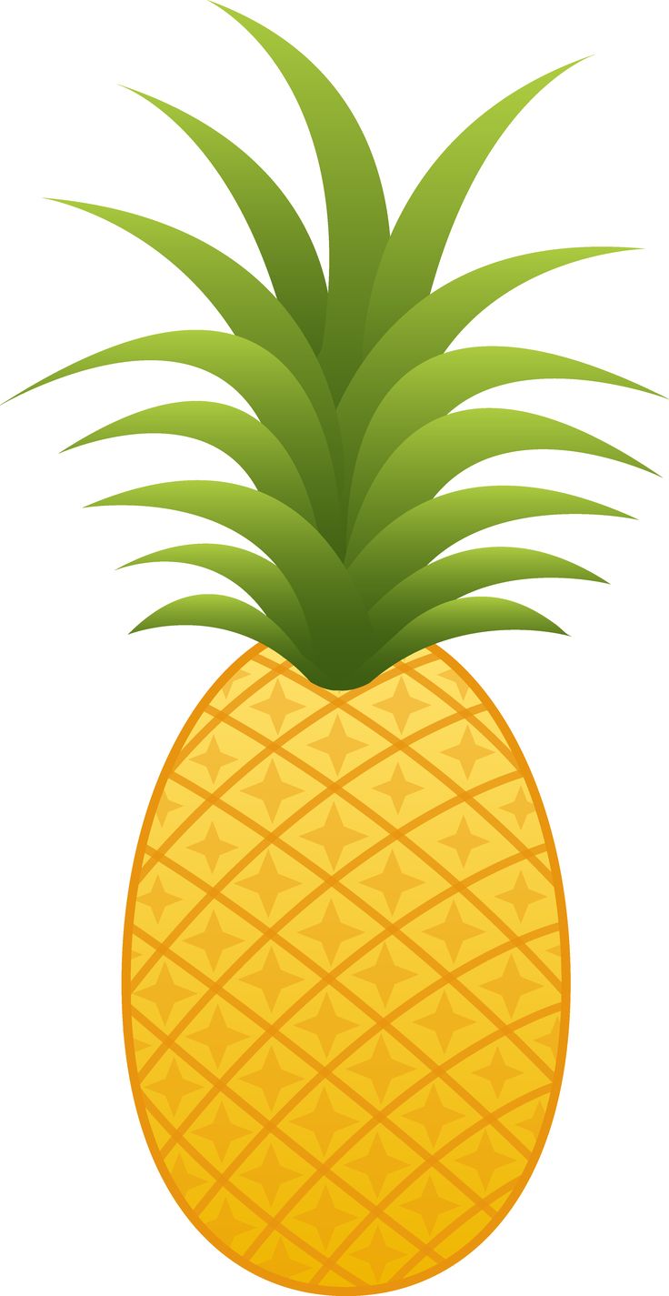 736x1425 Single Pine Apple Clipart
