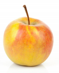 248x306 Apple Varieties A To Z Hope Orchards