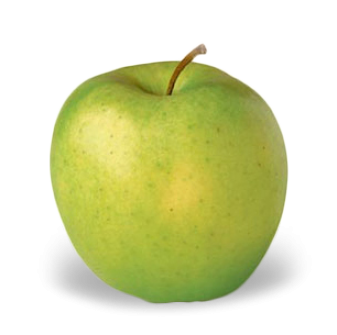 337x335 Crispin 337x335.png