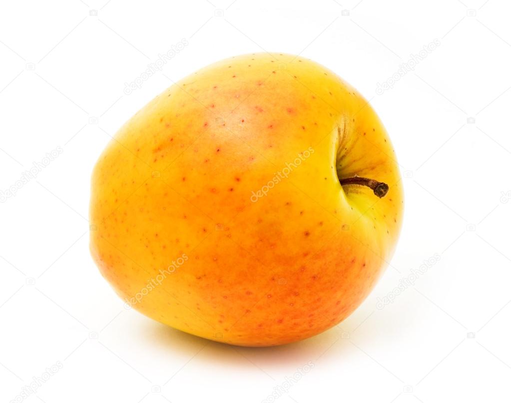 1023x807 Ripe Yellow Apple Stock Photo Alekc79