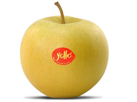 460x345 The New Yellow Apple Has Arrived