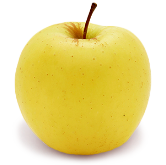 337x335 Apple Golden Delicious 337x335.png