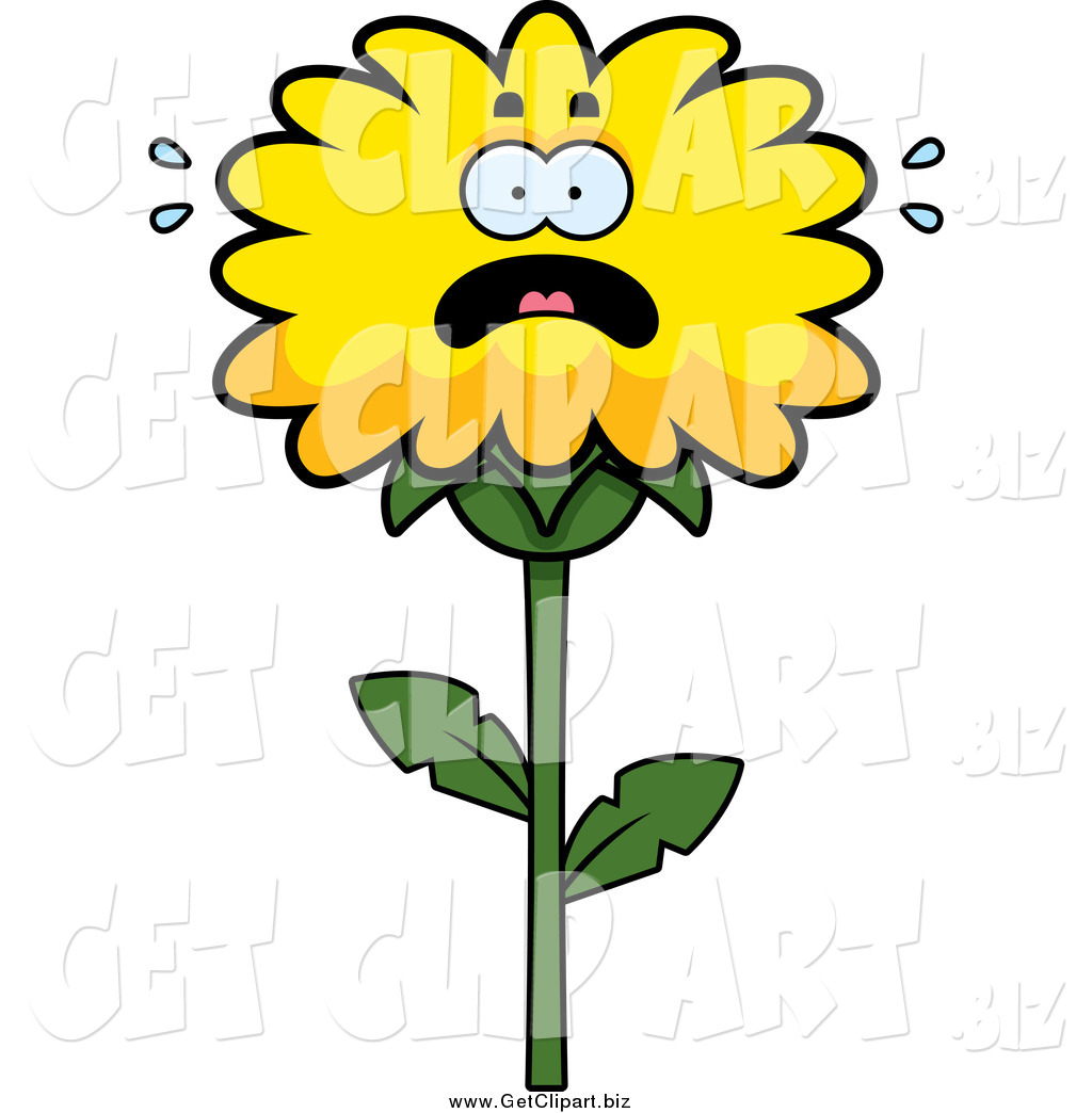 1024x1044 Royalty Free Stock Get Designs Of Flowers