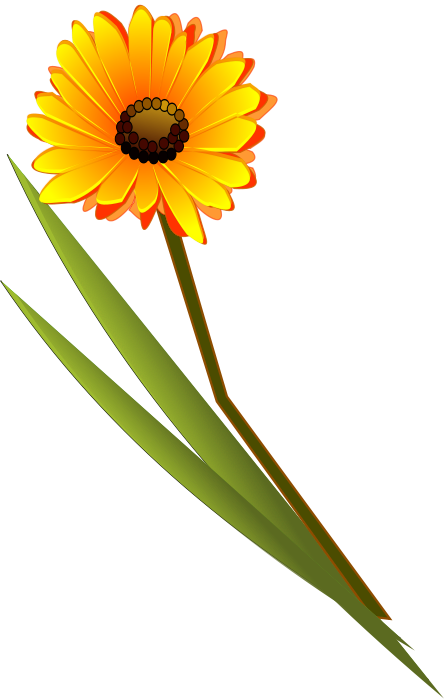 444x699 Flowers Clip Art Download