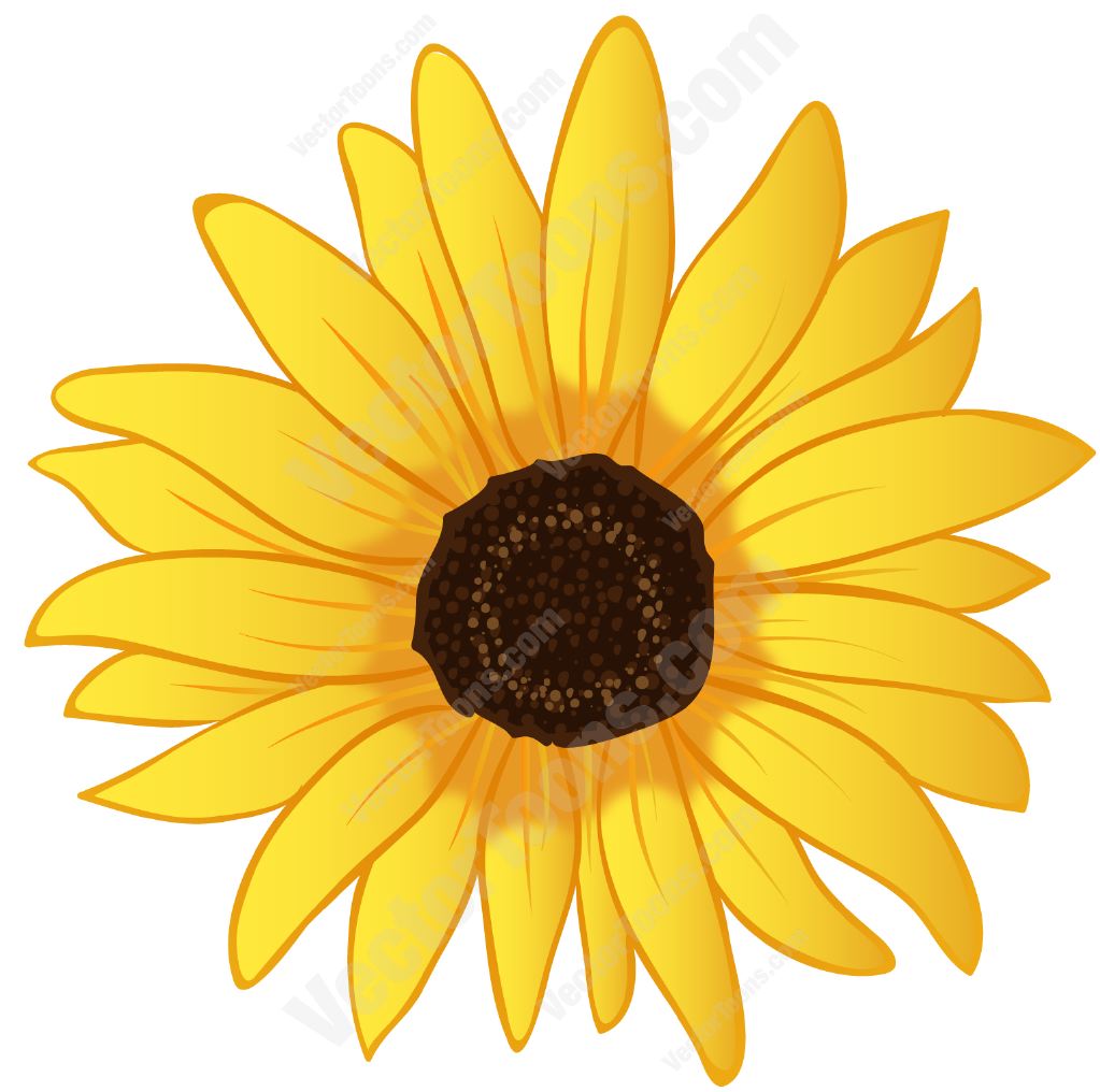 1023x1016 Yellow Flower Clipart Bright Flower