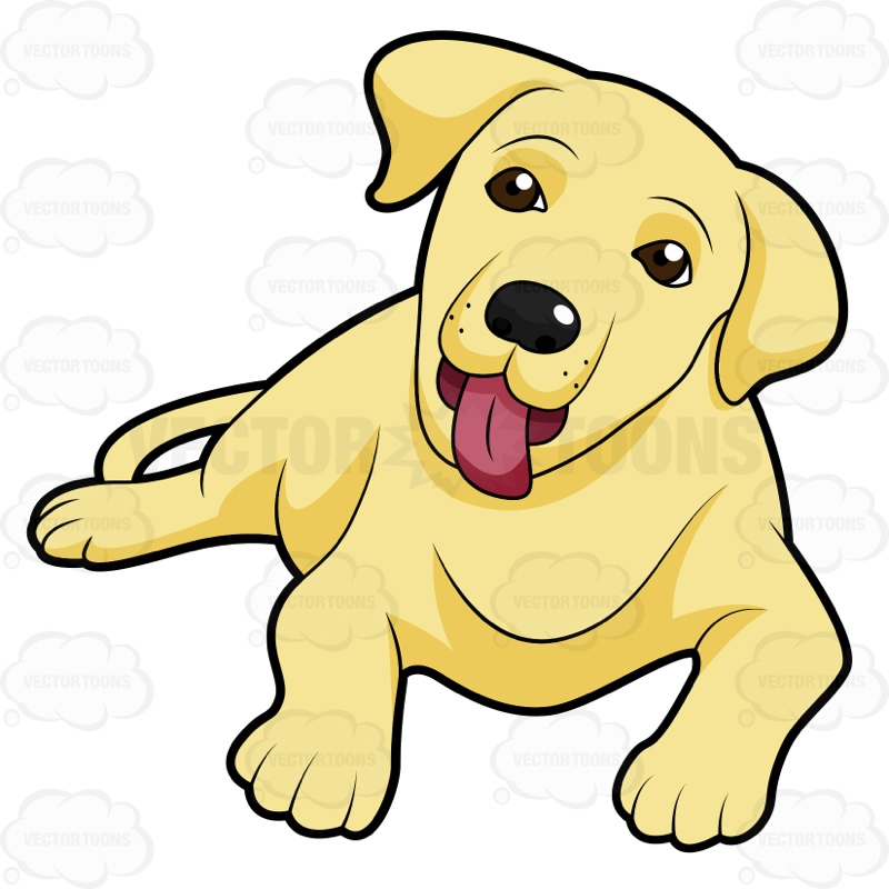 800x800 Yellow Lab Dog Clipart