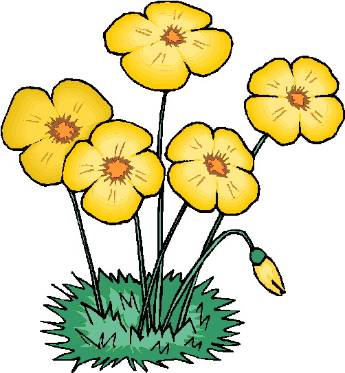 502x543 Yellow Flower Clipart Flowering Plant
