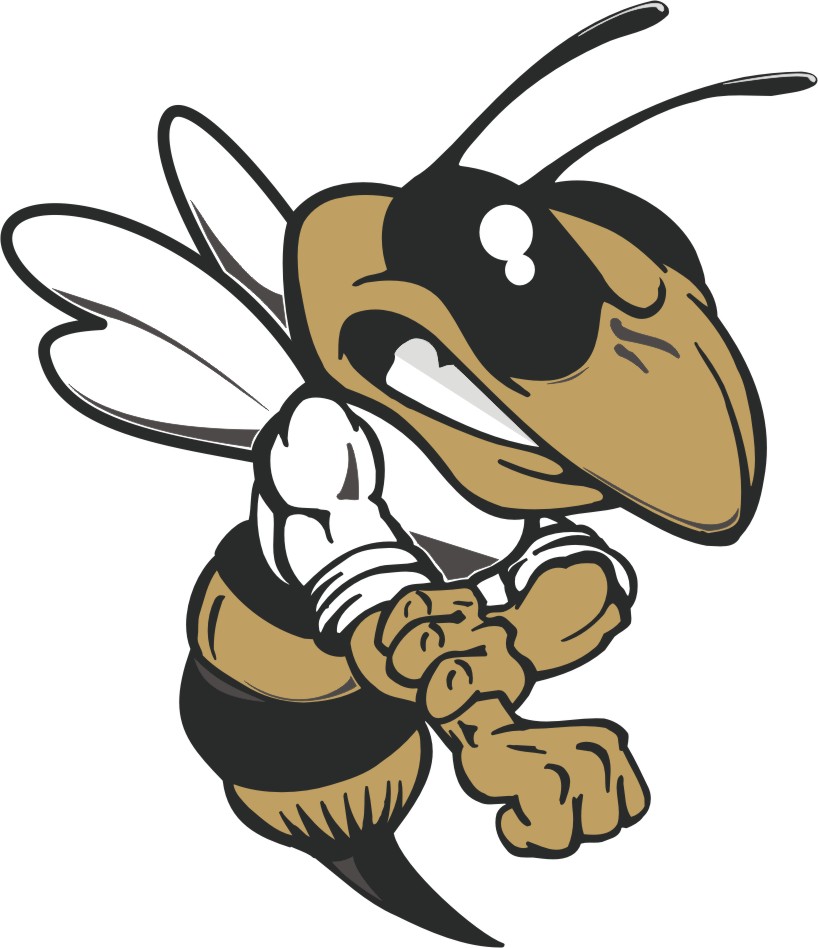 818x948 Sprayberry Yellow Jacket Football Logos