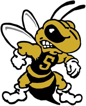 285x349 37 Best Football Yellow Jackets Images Yellow