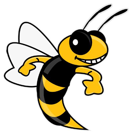 500x510 Yellow Jacket Clipart